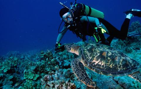 Get Your Advanced Open Water Dive Certification on Guam