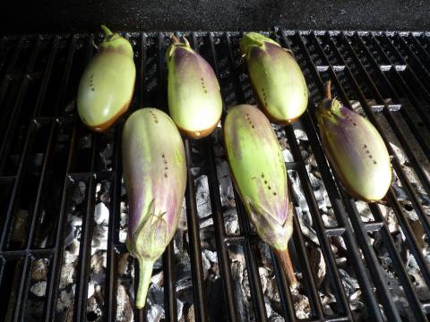 Grilled Eggplant in Coconut Milk (Lechen Biringhenas)